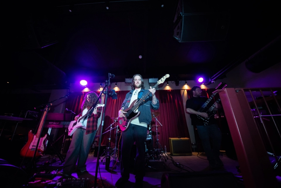 The Beehive live performance